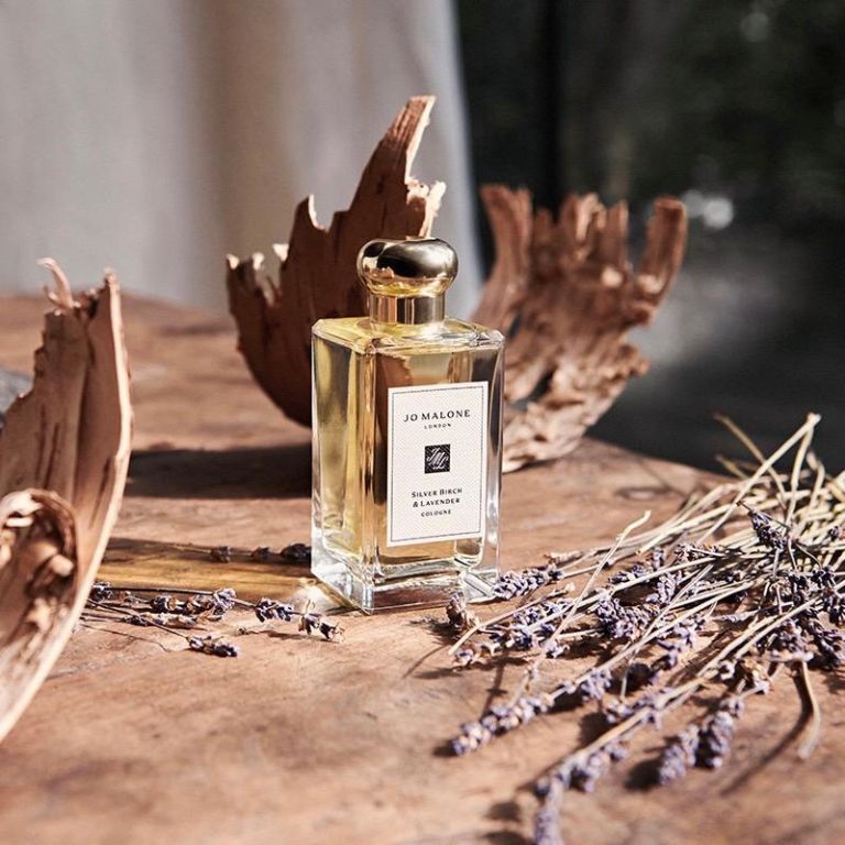 【忠孝館1F】Jo Malone London 白樺木與薰衣草香水